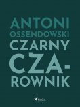 ebook: Czarny Czarownik