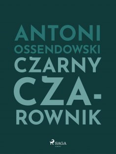 ebook: Czarny Czarownik