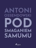 ebook: Pod smaganiem samumu