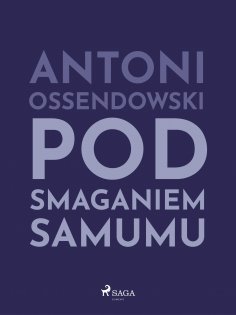ebook: Pod smaganiem samumu