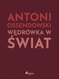 ebook: Wędrówka w świat