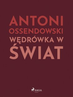 ebook: Wędrówka w świat