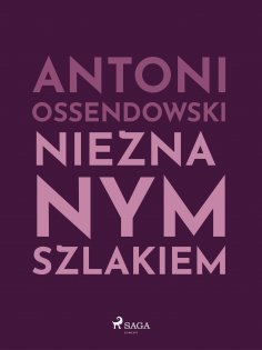ebook: Nieznanym szlakiem