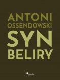 ebook: Syn Beliry