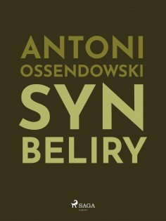ebook: Syn Beliry