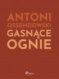 ebook: Gasnące ognie