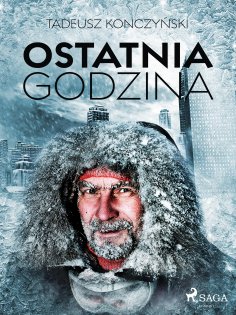 ebook: Ostatnia godzina