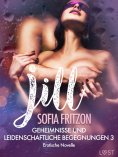 eBook: Jill – Geheimnisse und leidenschaftliche Begegnungen 3 - Erotische Novelle