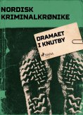 ebook: Dramaet i Knutby