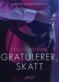 ebook: Gratulerer, skatt - en erotisk novelle