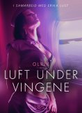 eBook: Luft under vingene - erotisk novelle