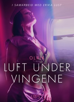 eBook: Luft under vingene - erotisk novelle