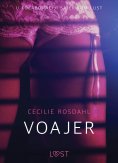 ebook: Voajer - Seksi erotika