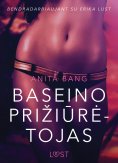 eBook: Baseino prižiūrėtojas - seksuali erotika