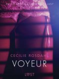 ebook: Voyeur - Um conto erótico