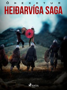 eBook: Heiðarvíga saga
