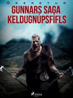 eBook: Gunnars saga Keldugnúpsfífls