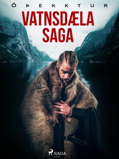 eBook: Vatnsdæla saga