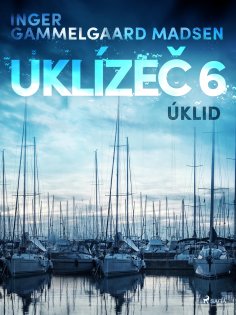 eBook: Uklízeč 6: Úklid