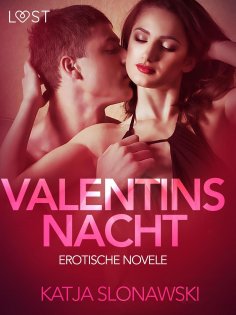 eBook: Valentinsnacht: Erotische Novelle