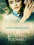 eBook: Między ustami a brzegiem pucharu