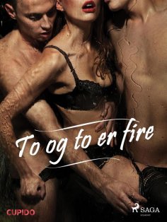 eBook: To og to er fire