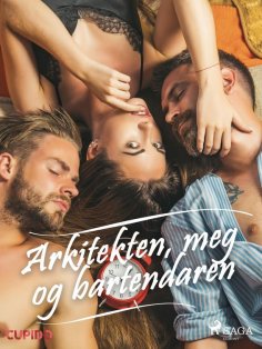 eBook: Arkitekten, meg og bartendaren