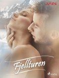 eBook: Fjellturen