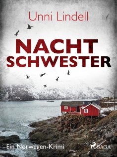 eBook: Nachtschwester - Ein Norwegen-Krimi