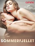 eBook: Sommerfjellet