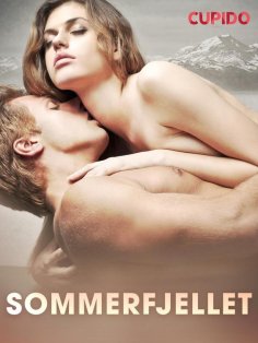 eBook: Sommerfjellet