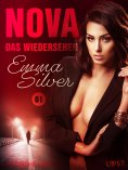 eBook: Nova 1 - Das Wiedersehen: Erotische Novelle