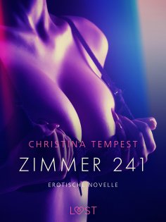 ebook: Zimmer 241 - Erotische Novelle