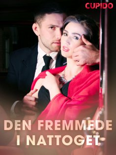 eBook: Den fremmede i nattoget