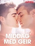 eBook: Middag med Geir