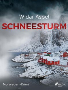eBook: Schneesturm - Norwegen-Krimi