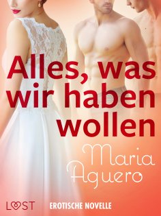 eBook: Alles, was wir haben wollen - Erotische Novelle