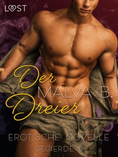 eBook: Begierde 5 - Der Dreier: Erotische Novelle