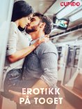 ebook: Erotikk på toget