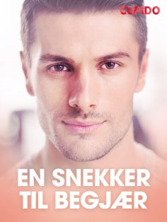 ebook: En snekker til begjær