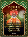 eBook: Sagan af indverska spekingnum Padmanaba og hinum unga mjöðsölumanni (Þúsund og ein nótt 16)