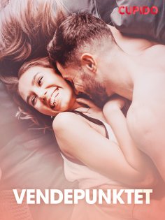 eBook: Vendepunktet – erotiske noveller