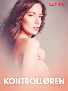 eBook: Kontrolløren – erotiske noveller