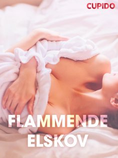 eBook: Flammende elskov – erotiske noveller (NO)