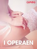 eBook: I operaen – erotiske noveller