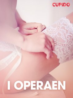 eBook: I operaen – erotiske noveller