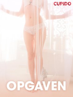 eBook: Opgaven – erotiske noveller