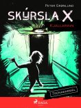 eBook: Skýrsla X - Kjallarinn