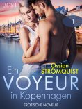 eBook: Ein Voyeur in Kopenhagen 1 - Erotische Novelle