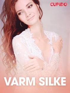 eBook: Varm silke - erotiske noveller